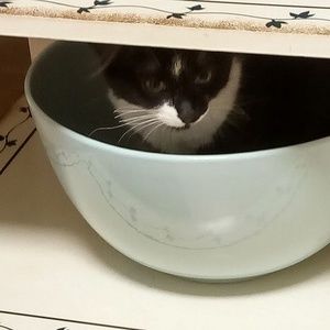 Meet your Posher, Ignacio